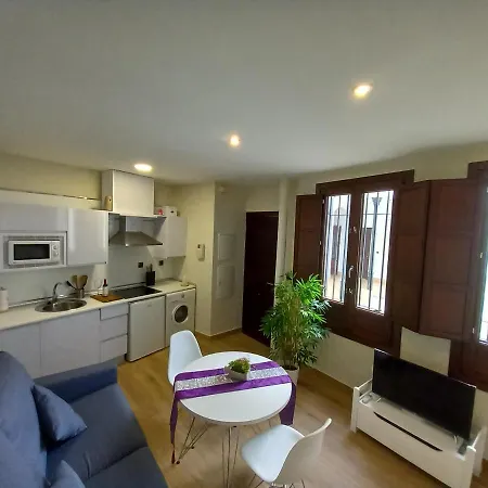 Coqueto Centrico Appartement *