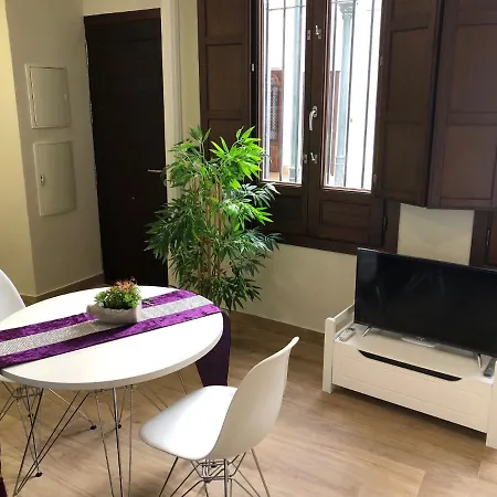 Apartment Coqueto Centrico *