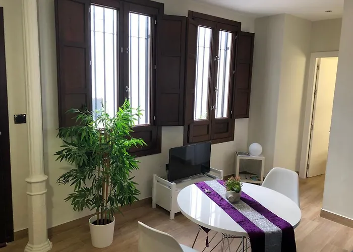 Апартаменты Coqueto Centrico *