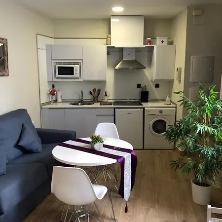 Coqueto Centrico Apartment